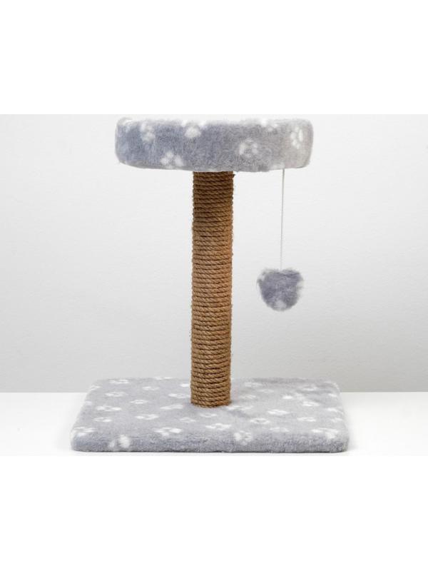 Когтеточка малая 