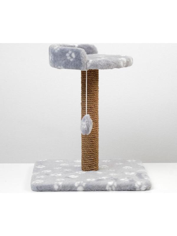 Когтеточка малая 