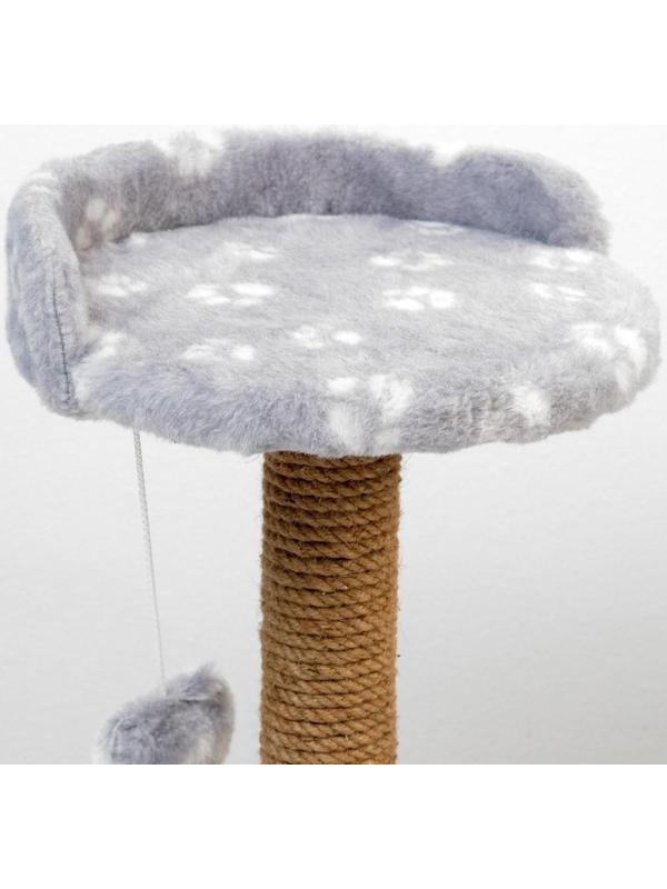 Когтеточка малая 