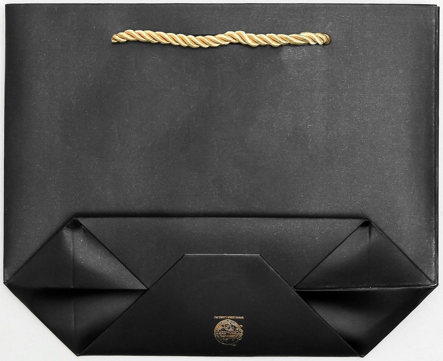 Пакет подарочный Present, 21 х 17 х 7 см