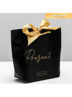 Пакет подарочный Present, 21 х 17 х 7 см