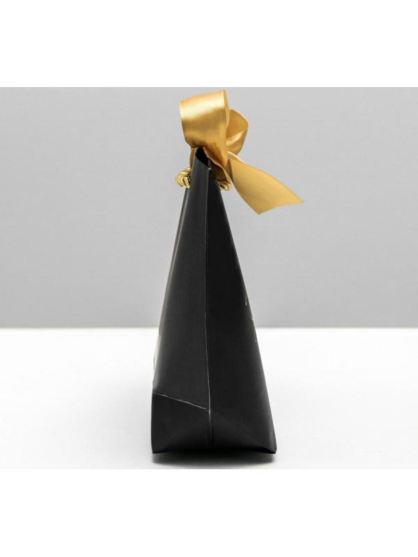 Пакет подарочный Present, 21 х 17 х 7 см