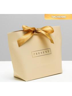 Пакет подарочный Present, 28 х 20 х 9 см