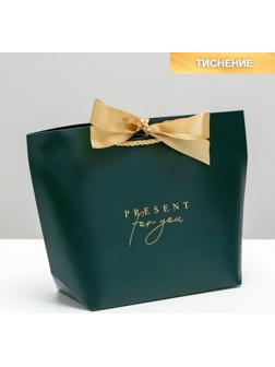 Пакет подарочный Present for you, 28 х 20 х 9 см