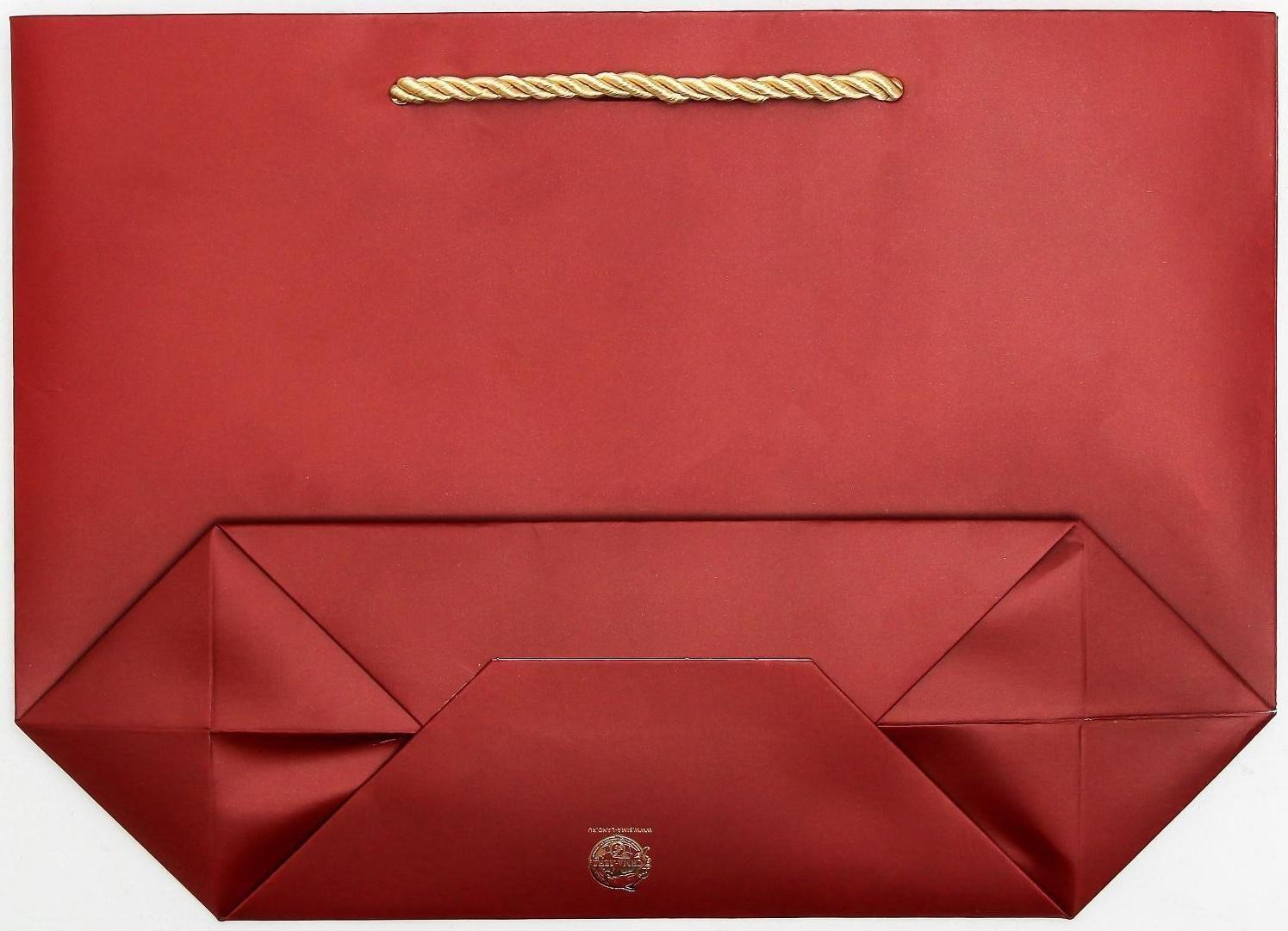 Пакет подарочный Present for you, 28 х 20 х 9 см