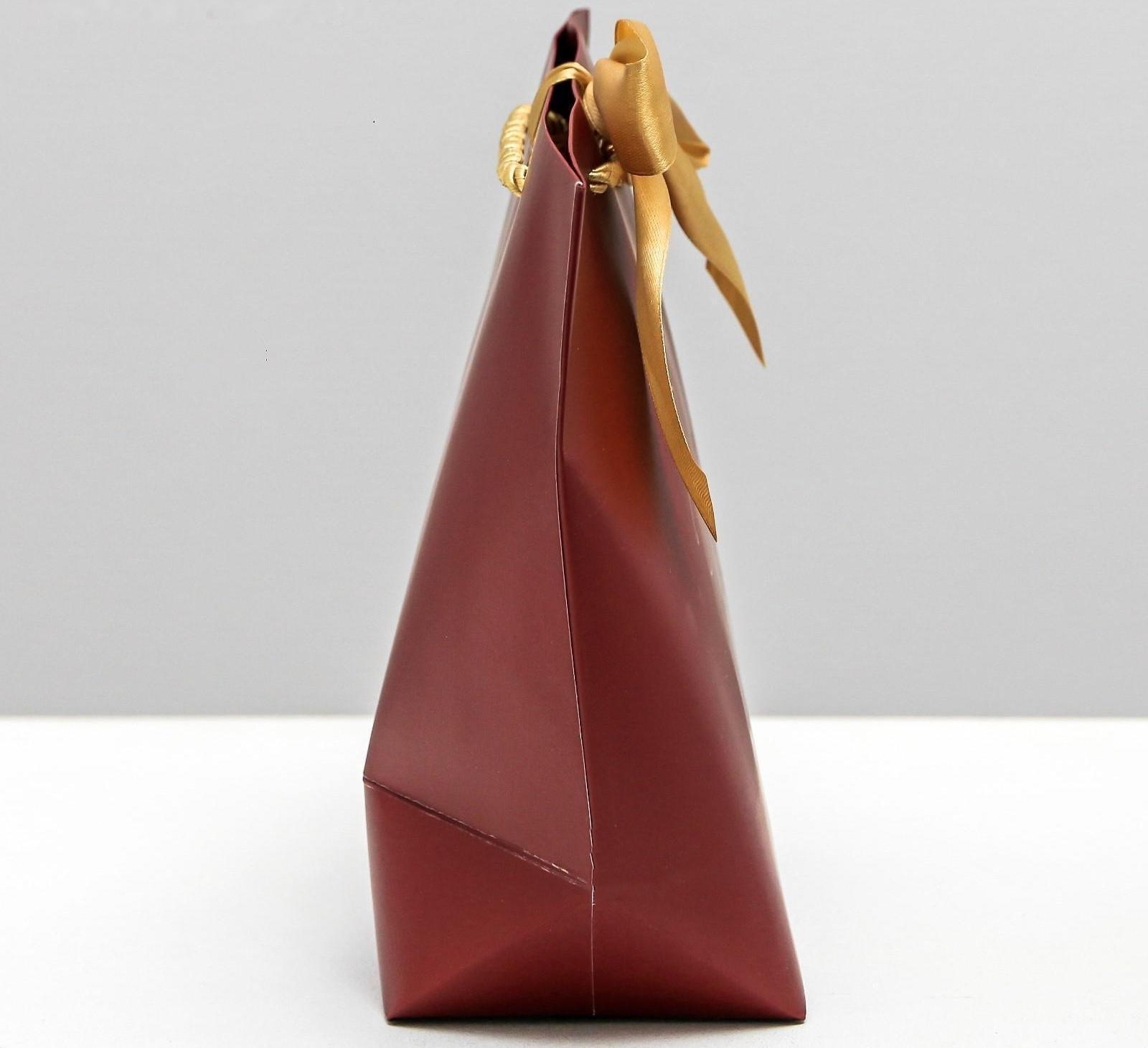 Пакет подарочный Present for you, 28 х 20 х 9 см