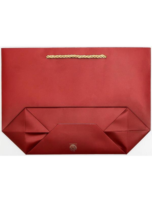 Пакет подарочный Present for you, 28 х 20 х 9 см