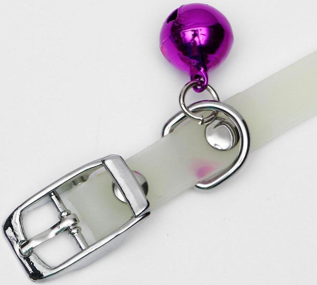 Ошейник, светящийся в темноте, 