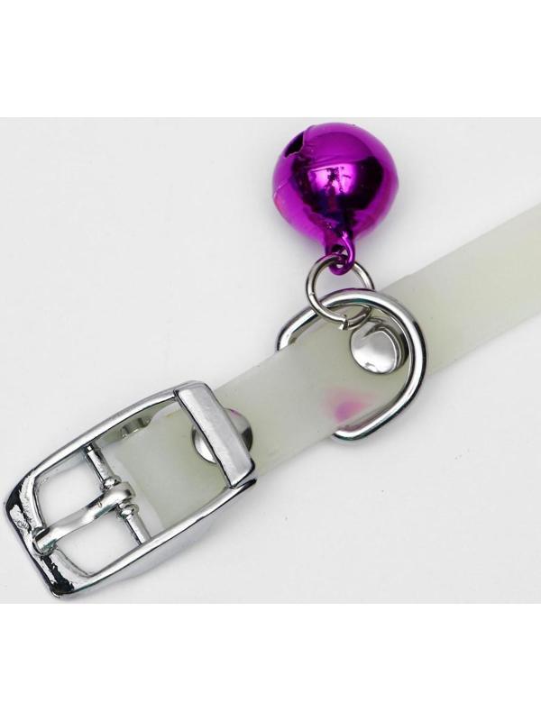 Ошейник, светящийся в темноте, 