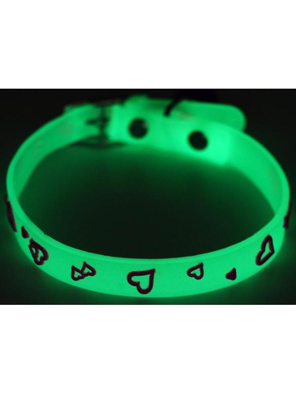 Ошейник, светящийся в темноте, 