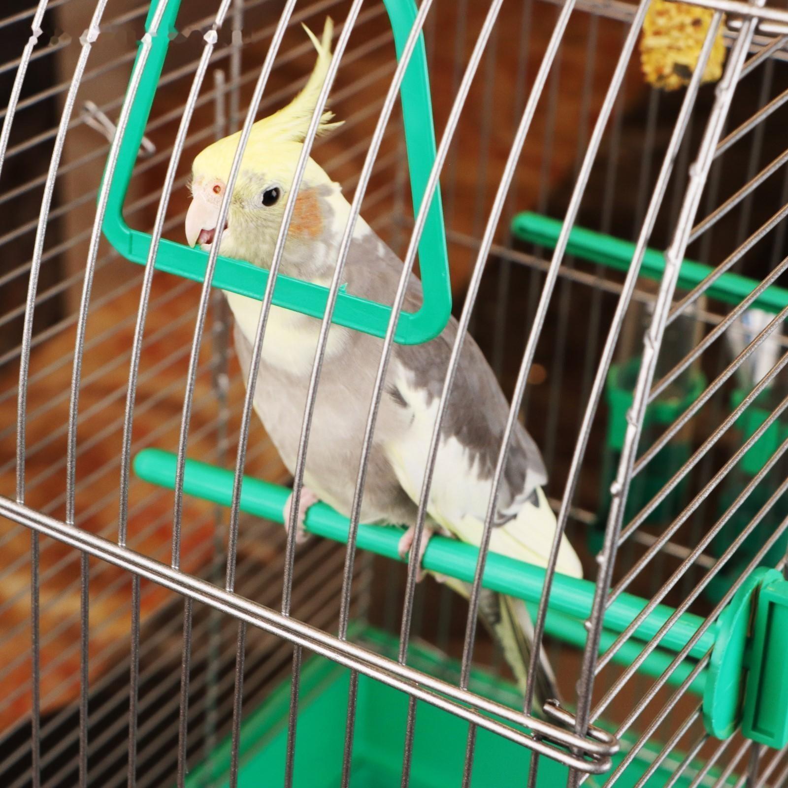 Клетка для птиц 