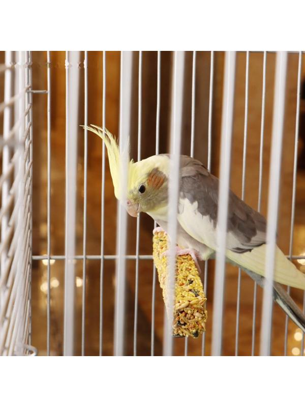 Клетка для птиц 