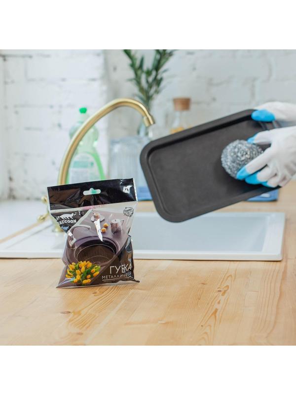 Губка для мытья посуды металлическая Raccoon, спираль оцинкованная, 30 гр