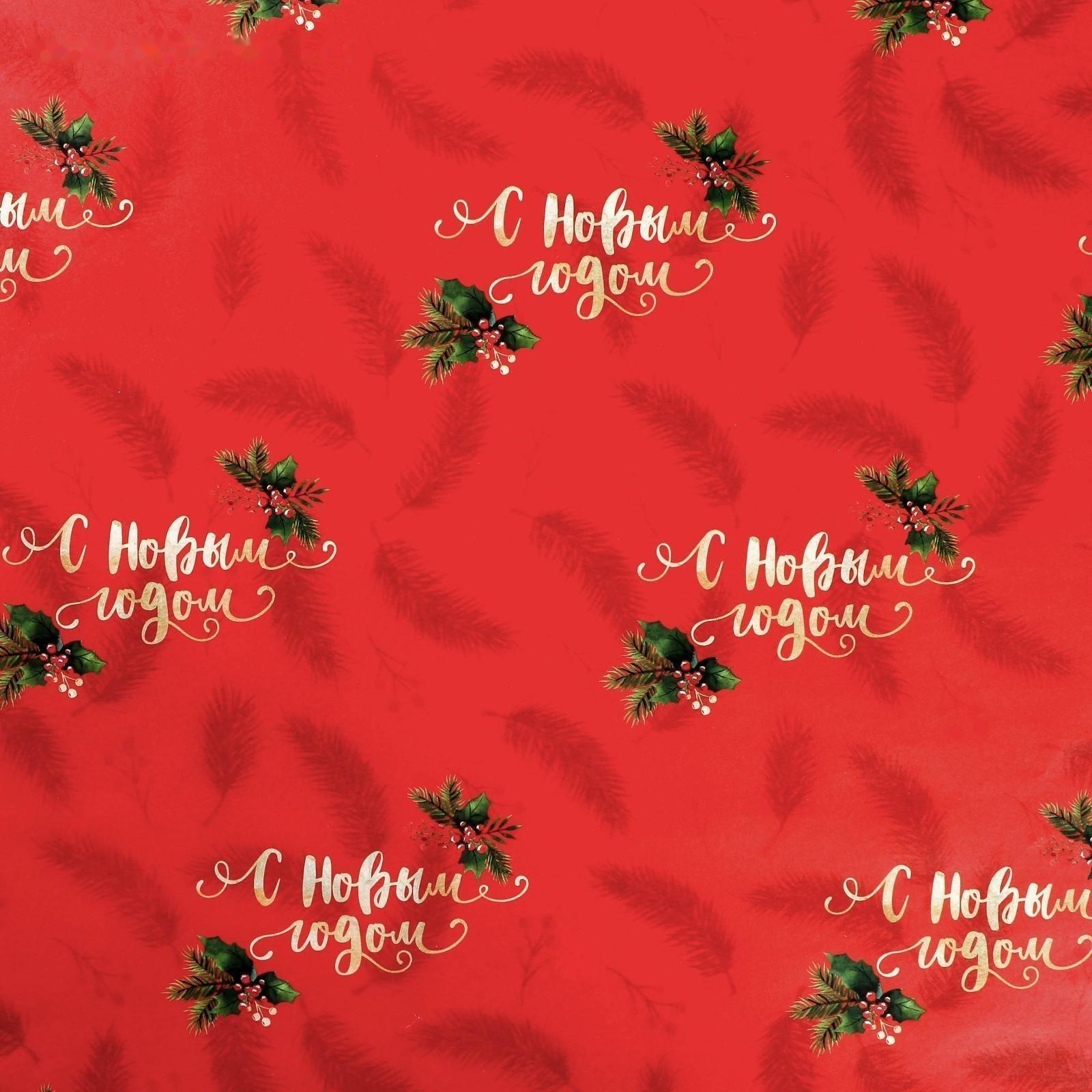 Бумага упаковочная глянцевая двусторонняя «Новогодние ветви», 70 × 100 см