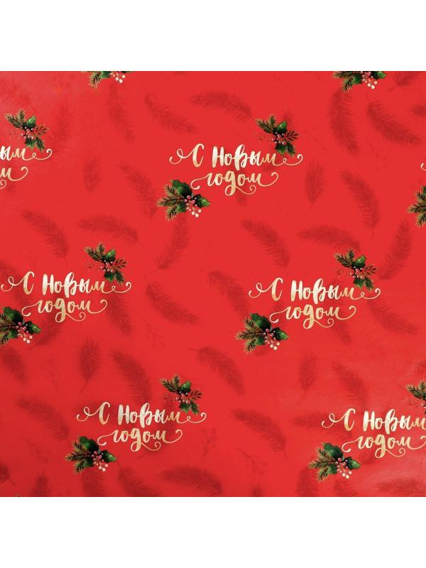Бумага упаковочная глянцевая двусторонняя «Новогодние ветви», 70 × 100 см