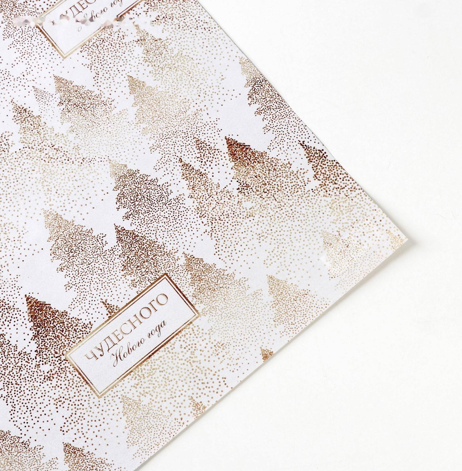 Бумага упаковочная глянцевая двусторонняя «Чудесного Нового года», 70 × 100 см