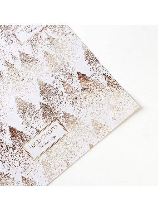 Бумага упаковочная глянцевая двусторонняя «Чудесного Нового года», 70 × 100 см