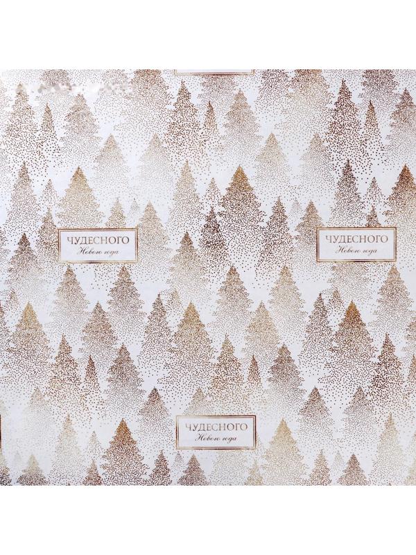 Бумага упаковочная глянцевая двусторонняя «Чудесного Нового года», 70 × 100 см