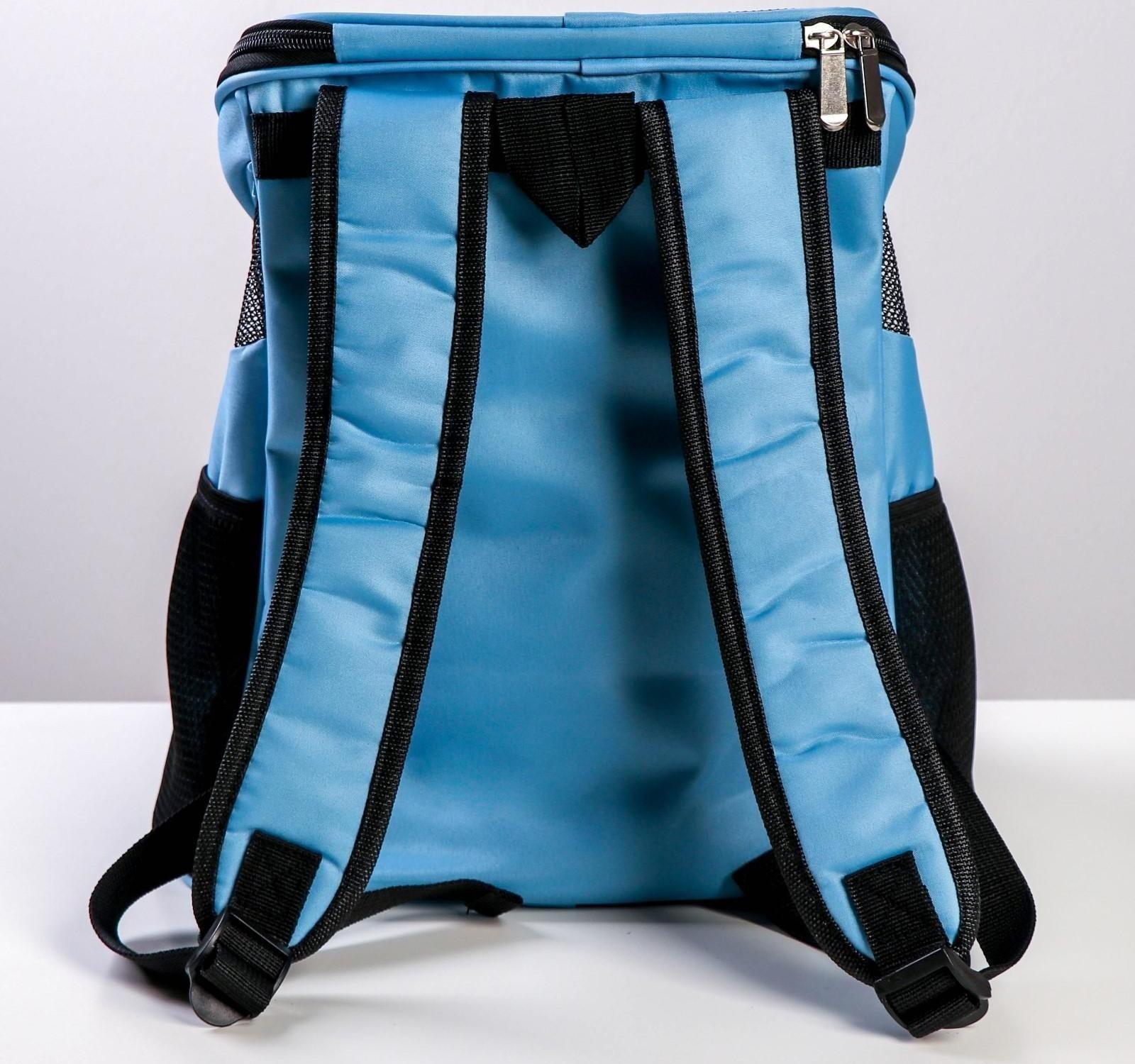 Рюкзак для переноски животных «Лучший друг» 31х23х30 см