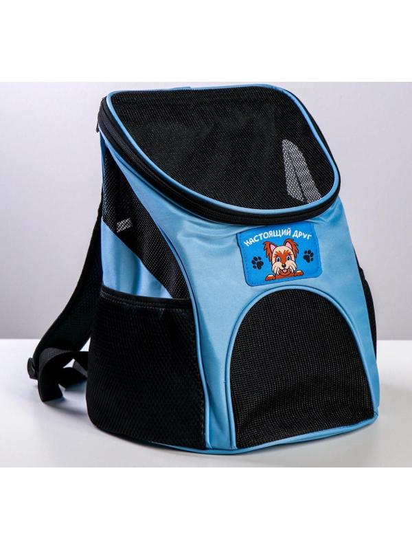 Рюкзак для переноски животных «Лучший друг» 31х23х30 см