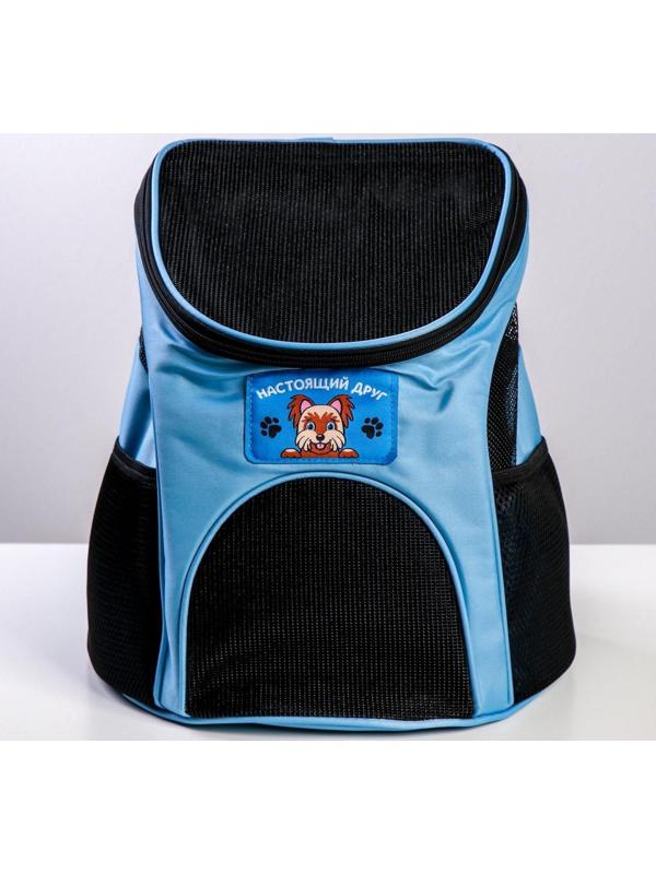 Рюкзак для переноски животных «Лучший друг» 31х23х30 см