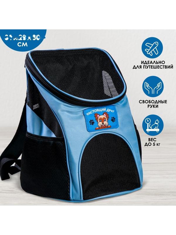 Рюкзак для переноски животных «Лучший друг» 31х23х30 см
