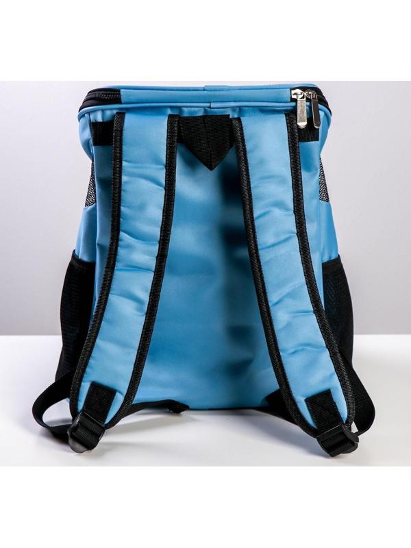 Рюкзак для переноски животных «Лучший друг» 31х23х30 см