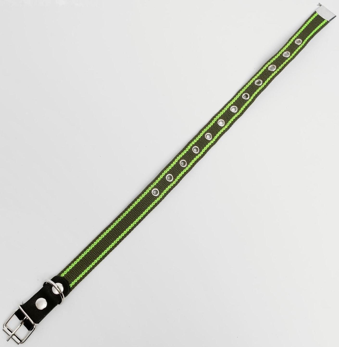 Ошейник брезентовый безразмерный однослойный, 57 х 2,5 см, ОШ 25-45 см, хаки/зелёный