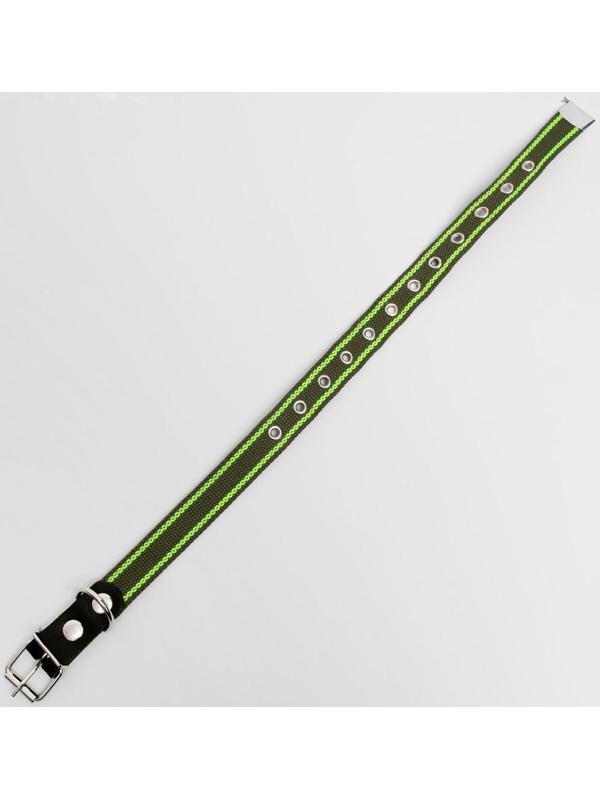 Ошейник брезентовый безразмерный однослойный, 57 х 2,5 см, ОШ 25-45 см, хаки/зелёный