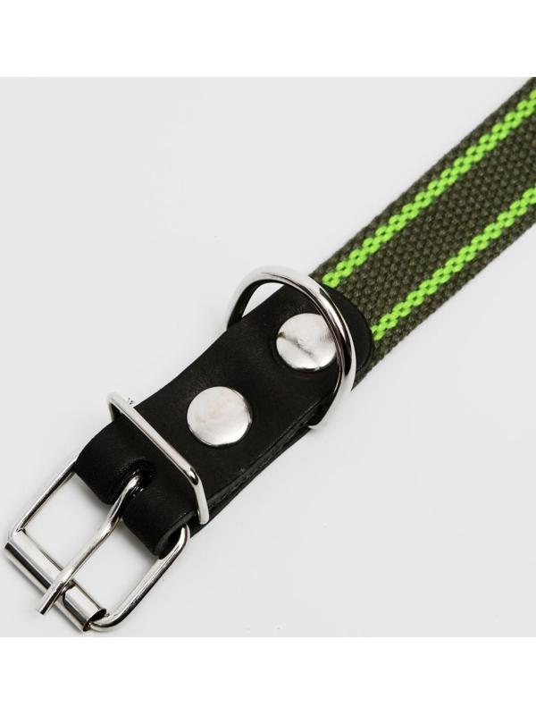 Ошейник брезентовый безразмерный однослойный, 57 х 2,5 см, ОШ 25-45 см, хаки/зелёный