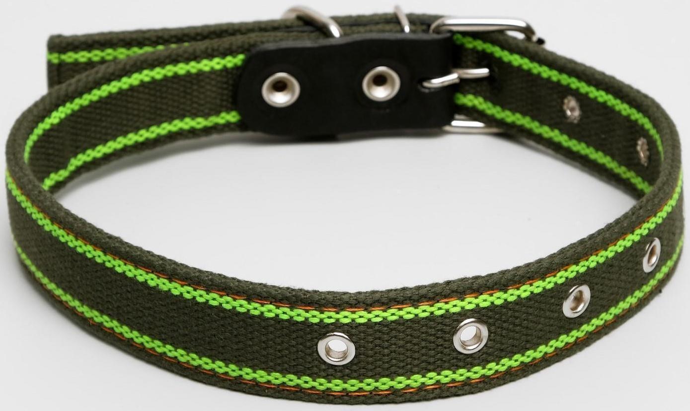 Ошейник брезентовый щенячий двухслойный, хаки/зелёный, 67 х 3 см, ОШ до 55 см