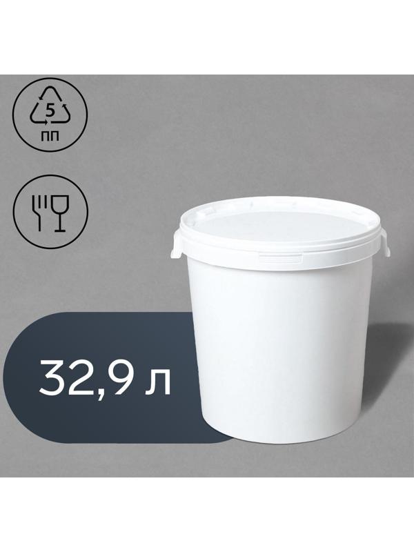 Бак пищевой «Для солений», 32,9 л, с герметичной крышкой