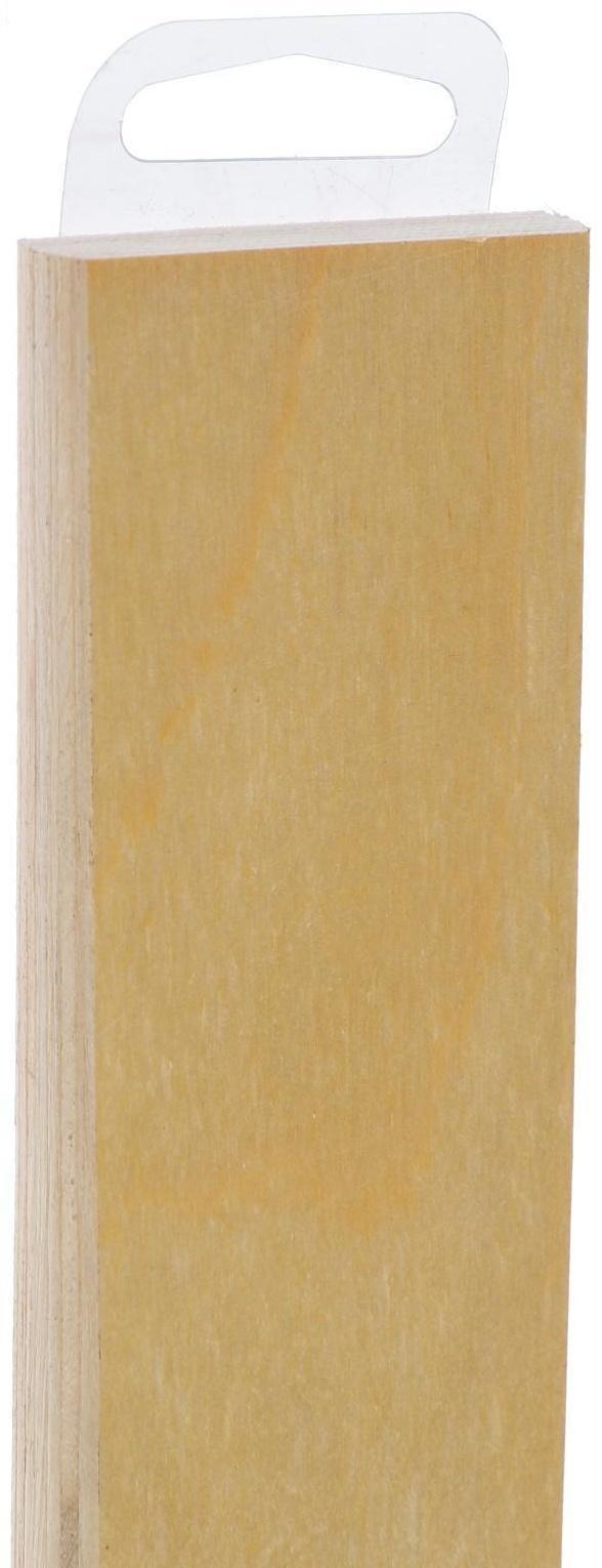 Ламель 890х50х8 мм