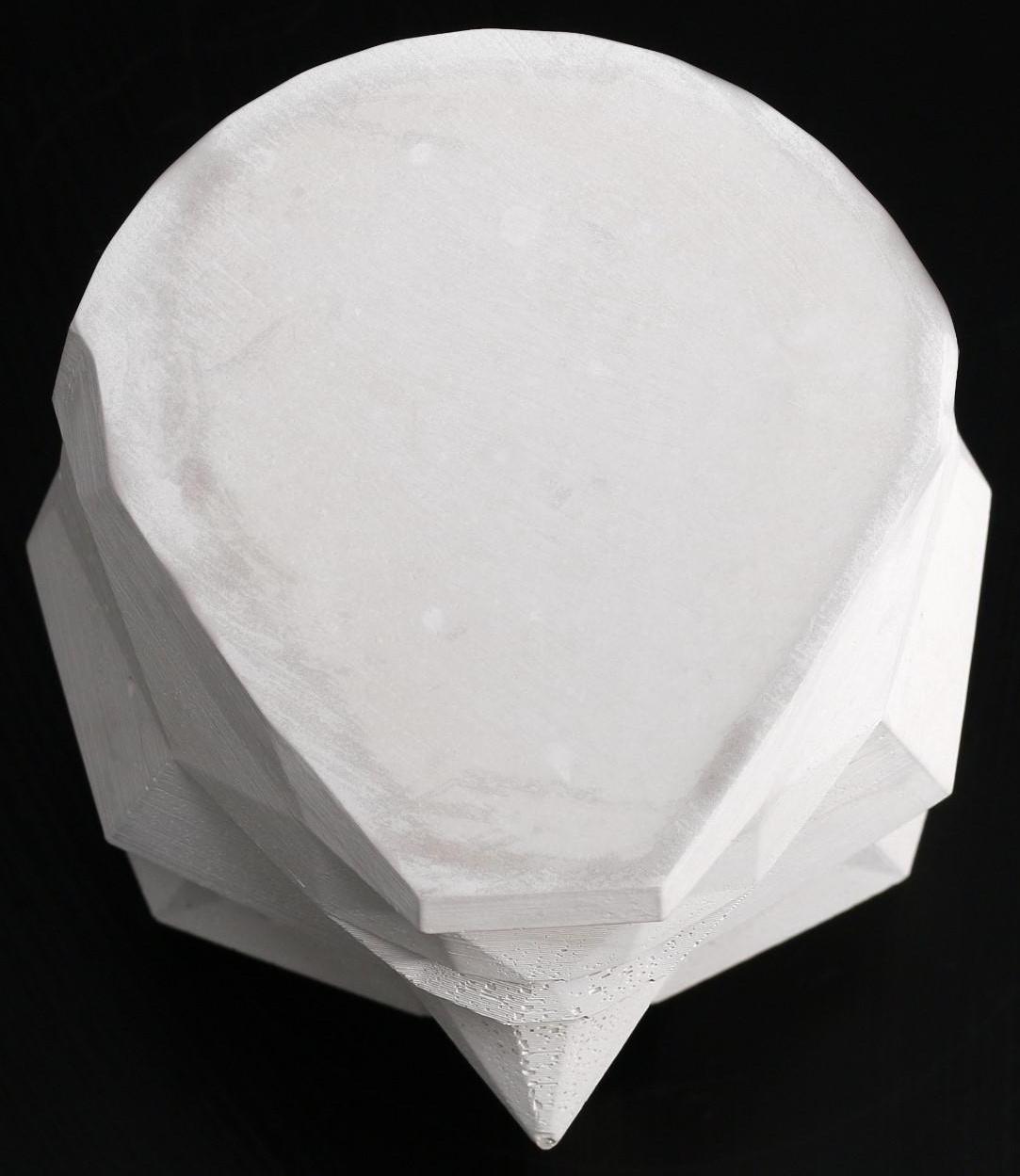 Кашпо полигональное «Голова», цвет белый, 11 × 13 см