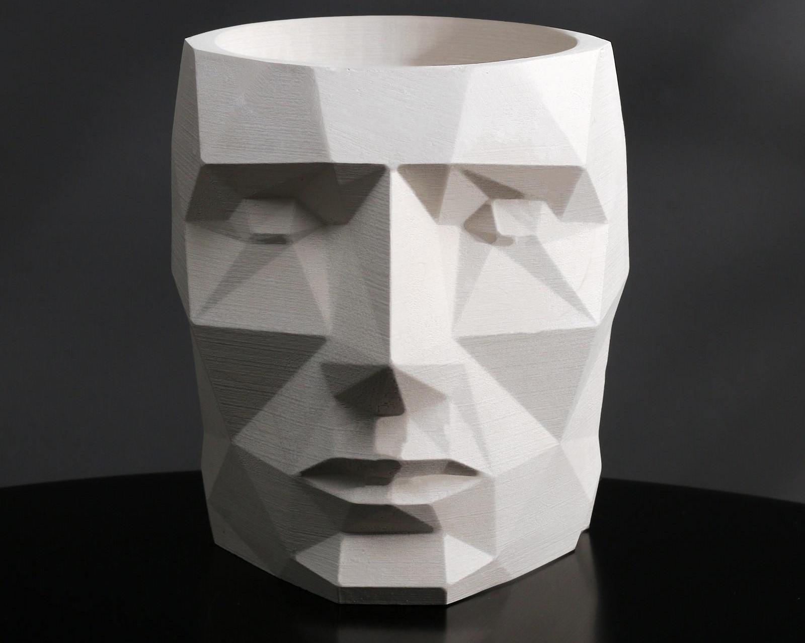 Кашпо полигональное «Голова», цвет белый, 11 × 13 см