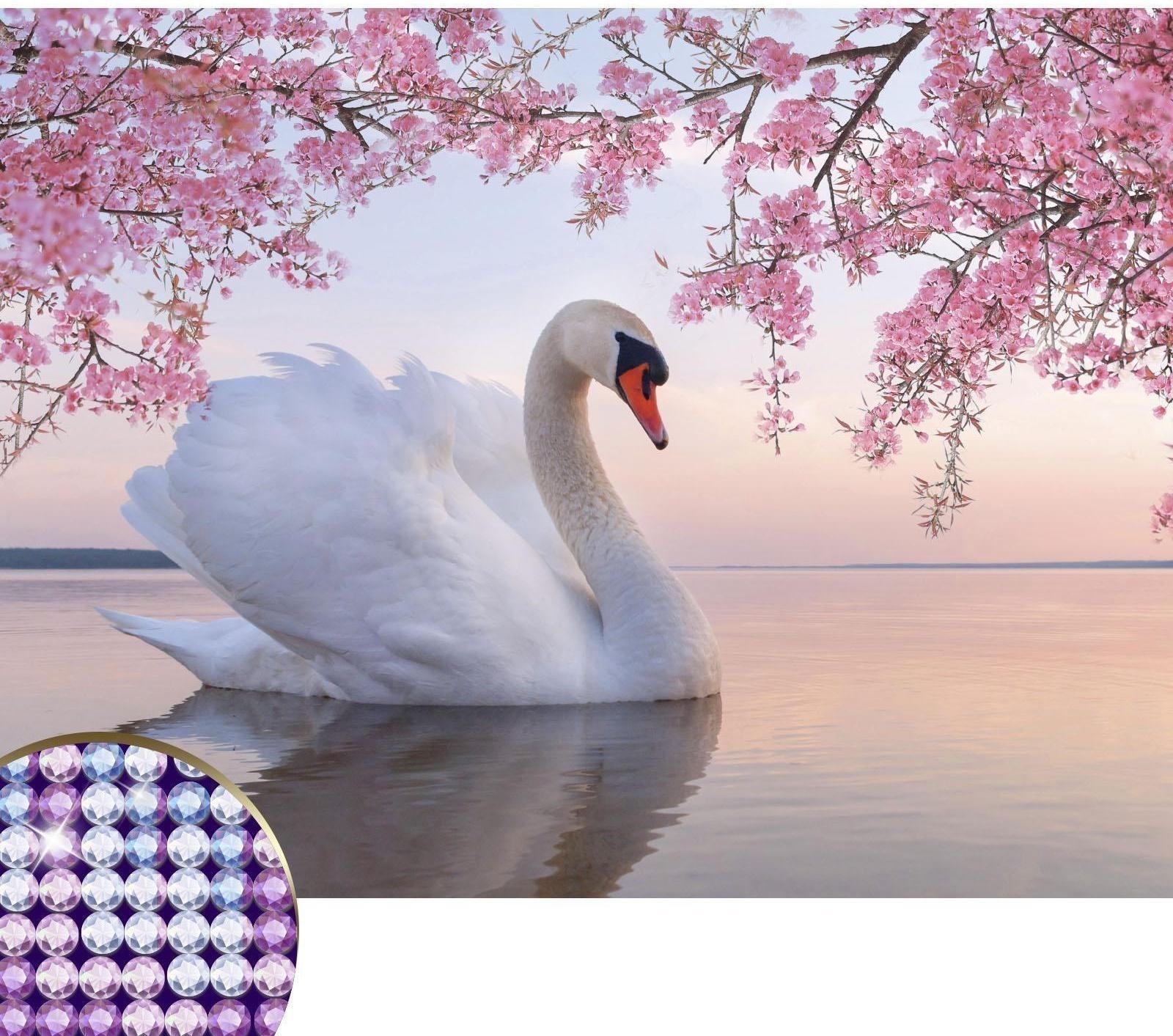 Алмазная мозаика с частичным заполнением «Белый лебедь» 30х40 см, холст, ёмкость