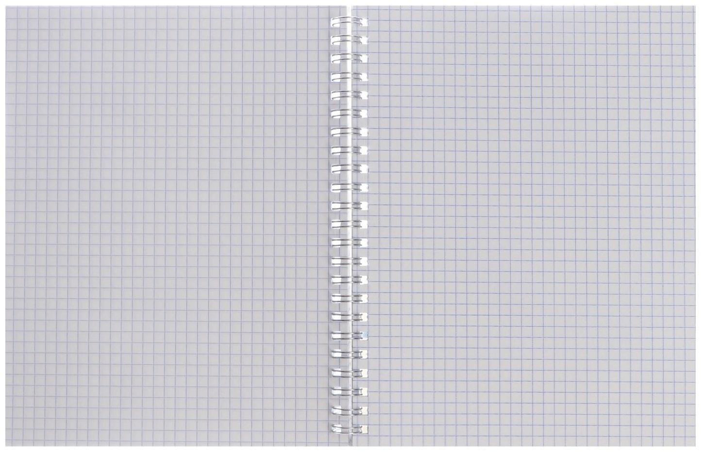 Тетрадь 80 листов в клетку на гребне 