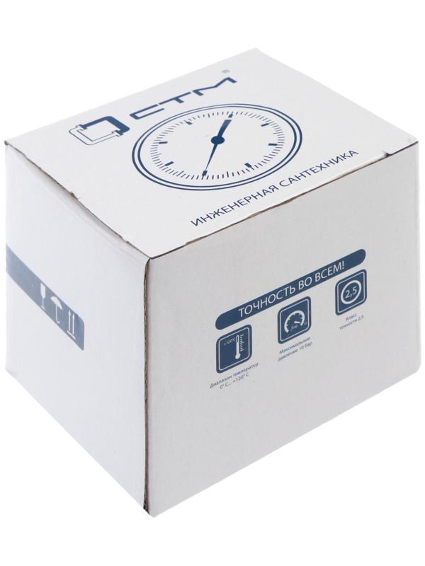 Термоманометр 