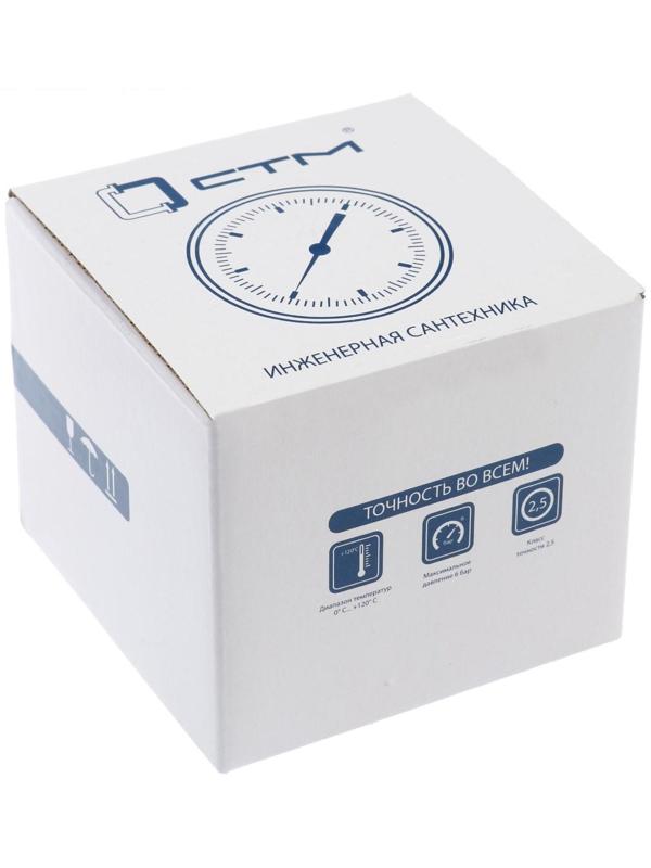 Термоманометр 