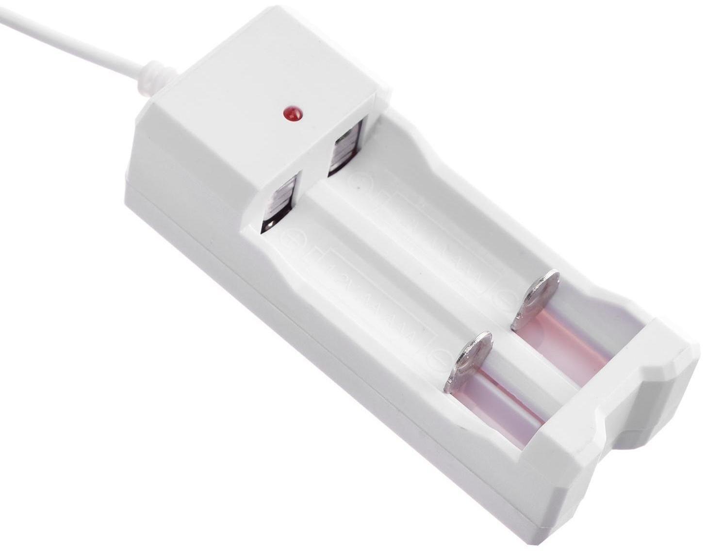 Зарядное устройство LuazON UC-26, для 2-х аккум. АА или ААА, USB, ток заряда 250 мА, белое