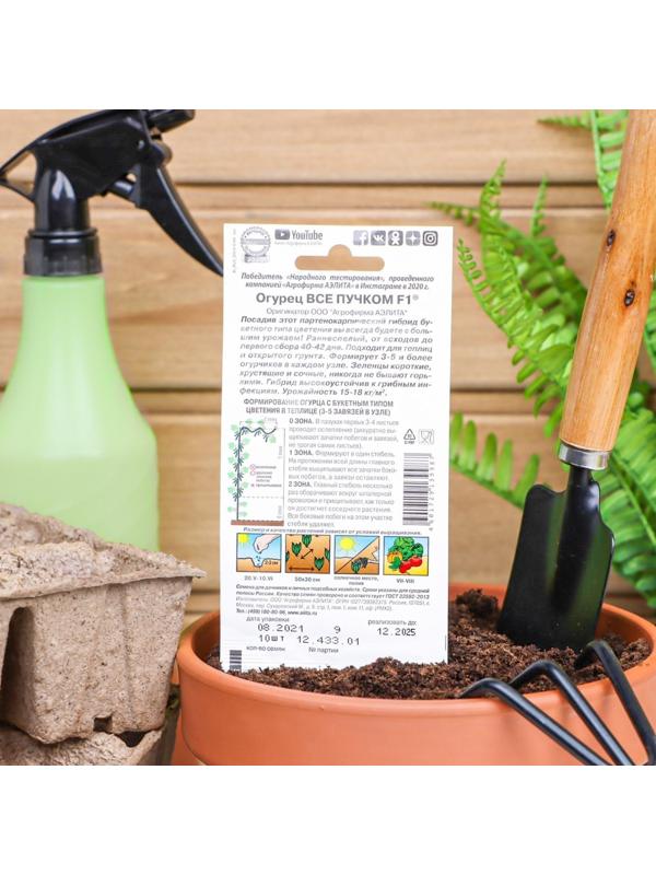 Семена огурца 