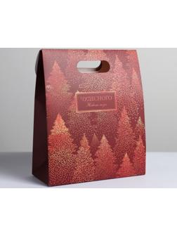 Пакет с клапаном «Чудесного Нового года», 26 х32 х12 см