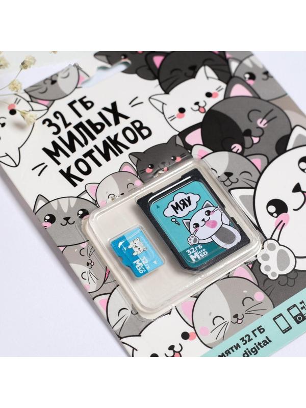 Карта памяти «32 гб милых котиков», 32 Гб