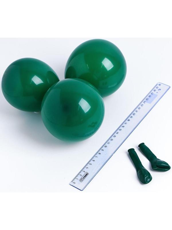 Шар латексный 5