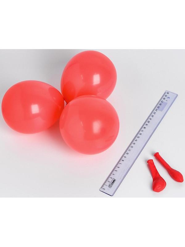 Шар латексный 5