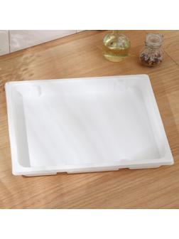 Поднос для заморозки 36×31×3,5 см, цвет белый