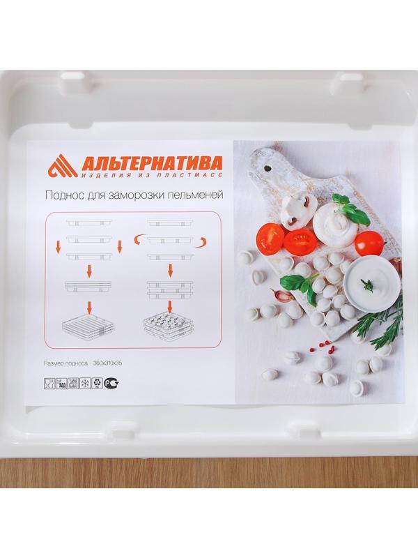 Поднос для заморозки 36×31×3,5 см, цвет белый