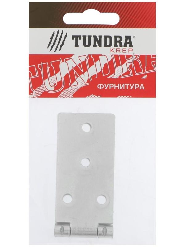 Петля карточная ТУНДРА, 140х34 мм, покрытие цинк, 1 шт.