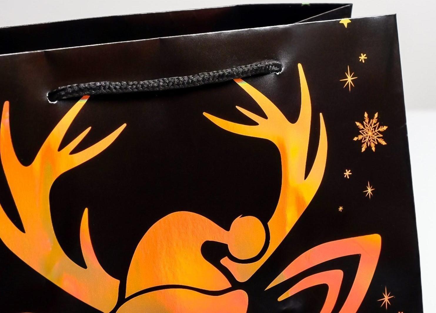 Пакет голография вертикальный «Новый год», ML 23 × 27 × 11,5 см