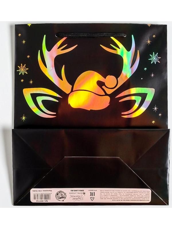 Пакет голография вертикальный «Новый год», ML 23 × 27 × 11,5 см